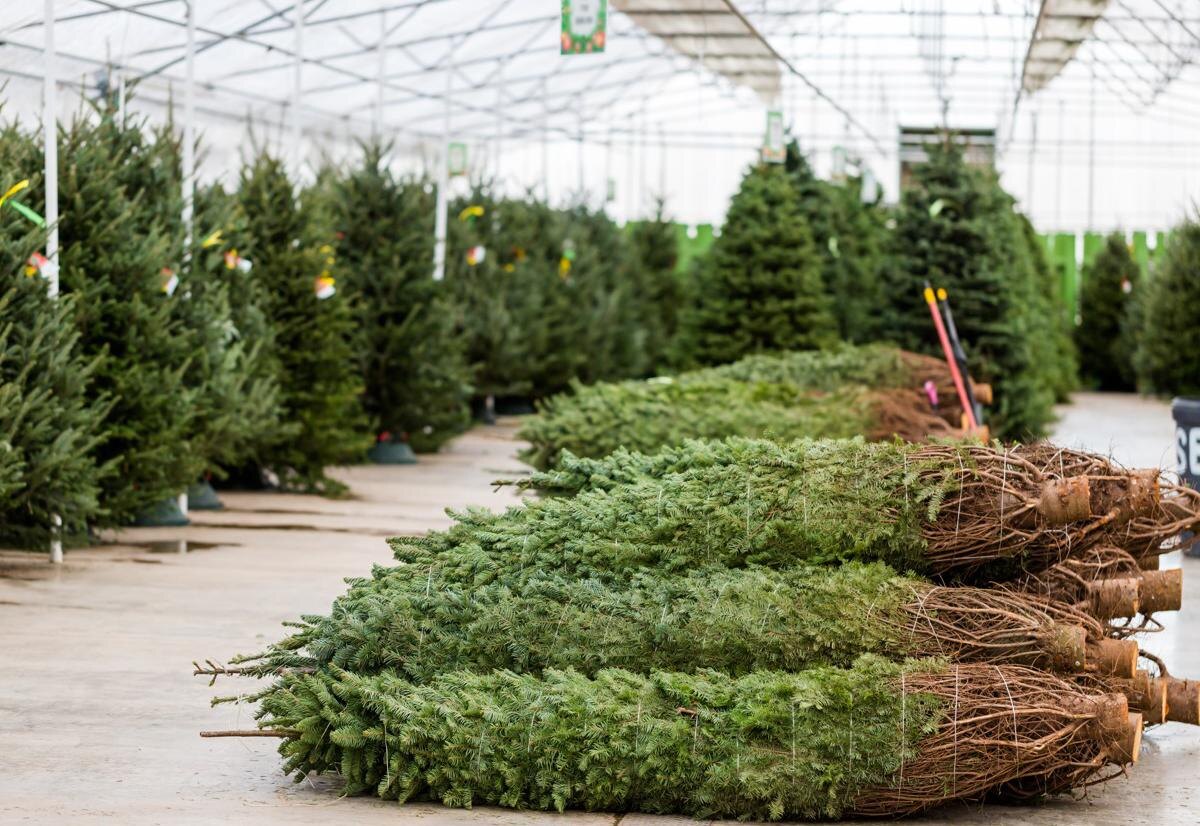    Arina P Habich / Shutterstock / FOTODOM