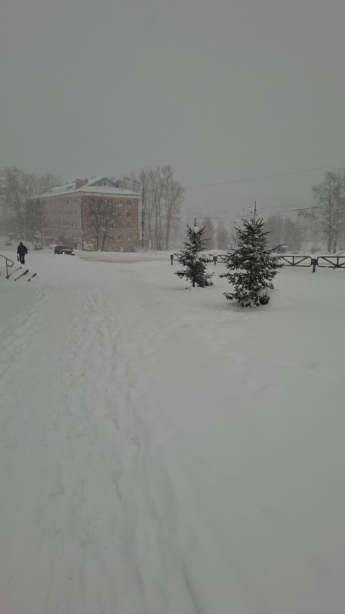 Земля и небо слились в этом снежном дне.