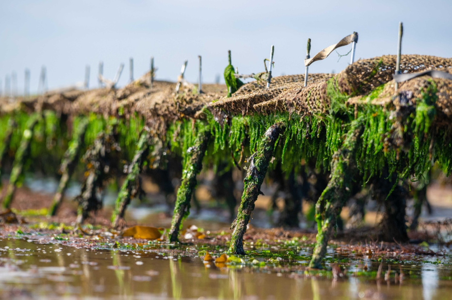    Shutterstock/FOTODOM