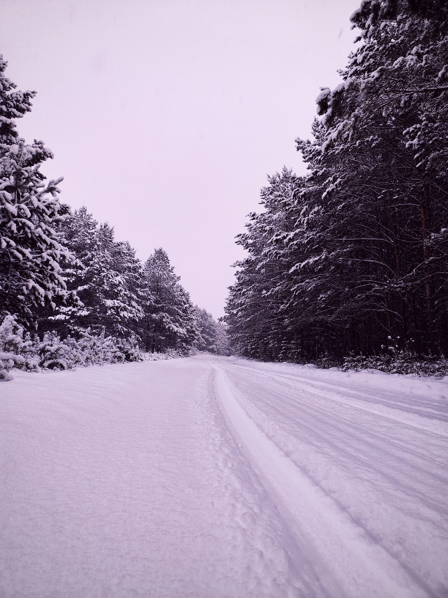 Сосновая Аллея г. Иланский 