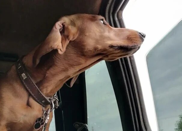    Фото: Югополис