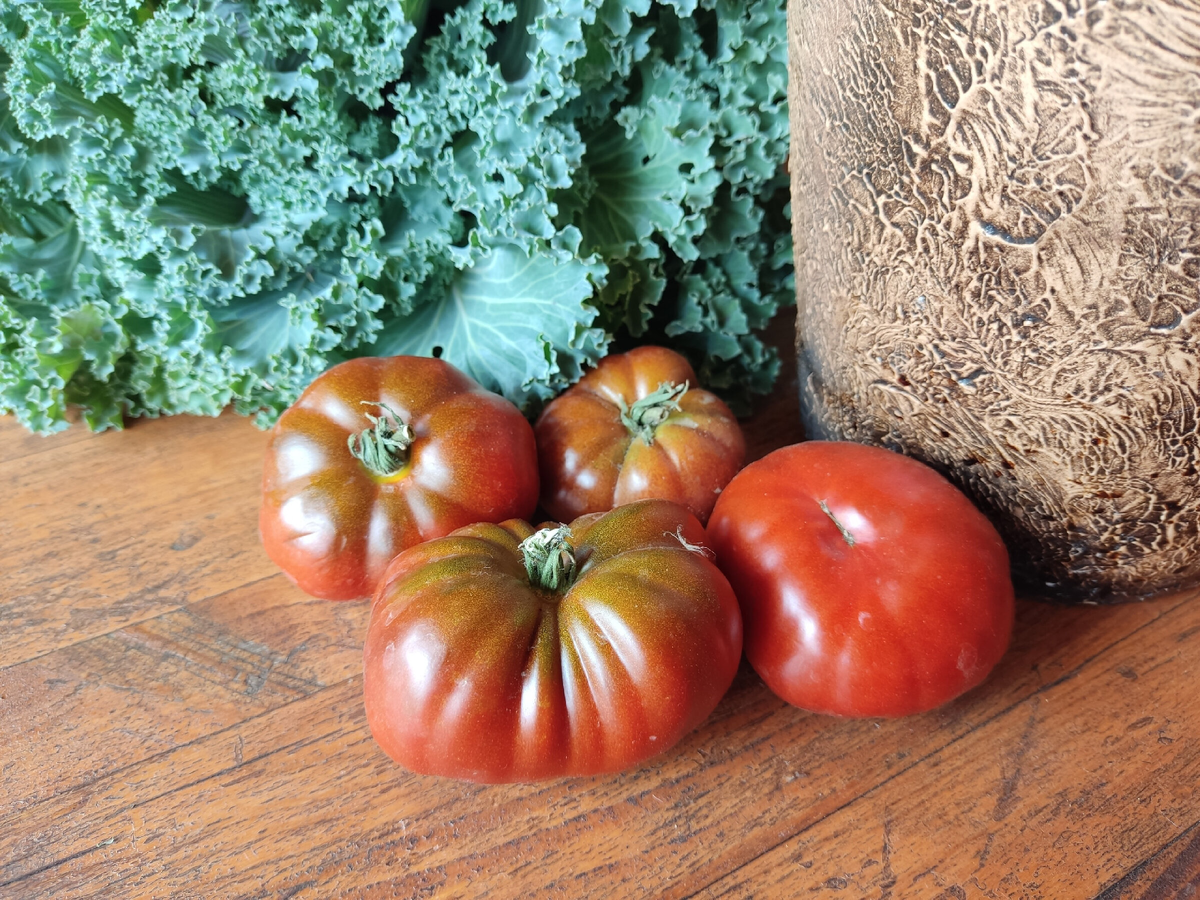 Томаты-"гномы" Tasmanian Chocolate - урожай одного куста. Да, это всё! Но я и не огородник из Рязани