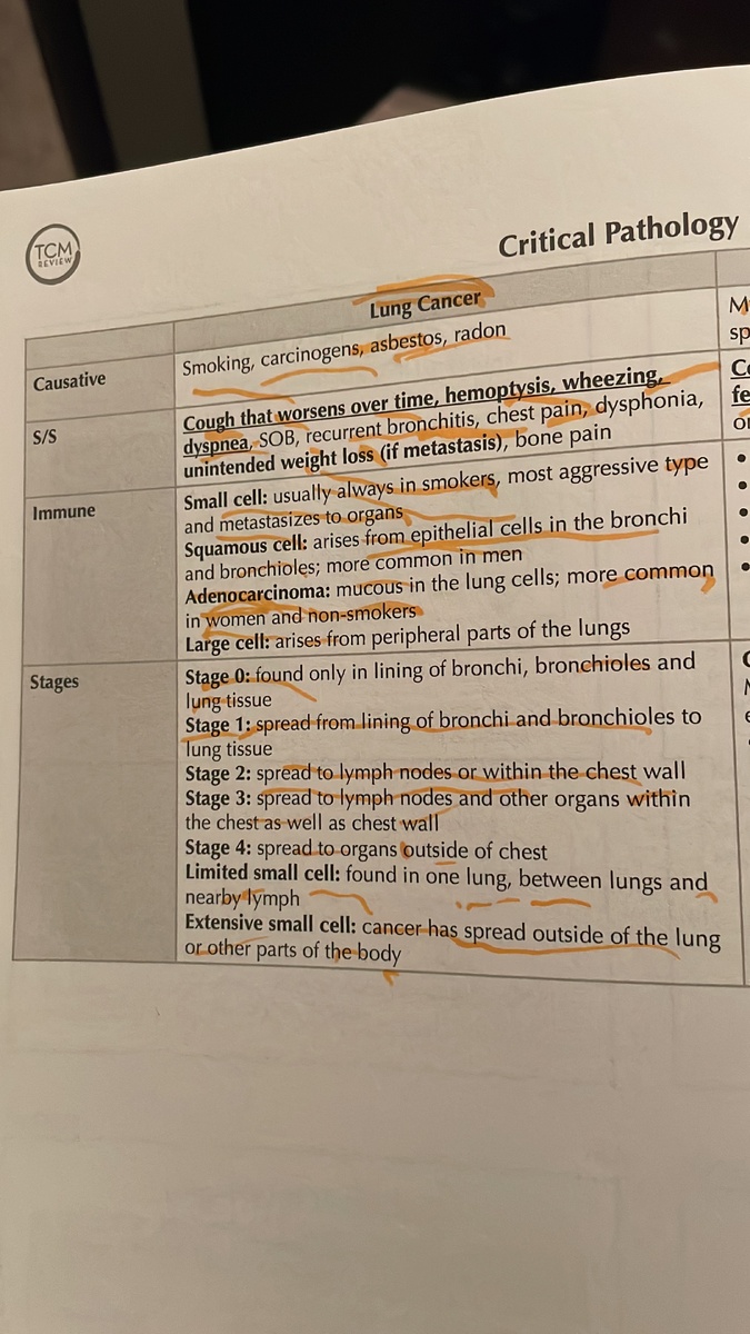 И тут без зубрёжки не обойтись🤦‍♀️