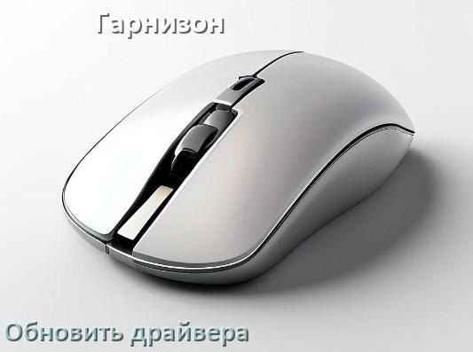 
Как обновить драйвер мыши Гарнизон и установить в Windows 10 и 11