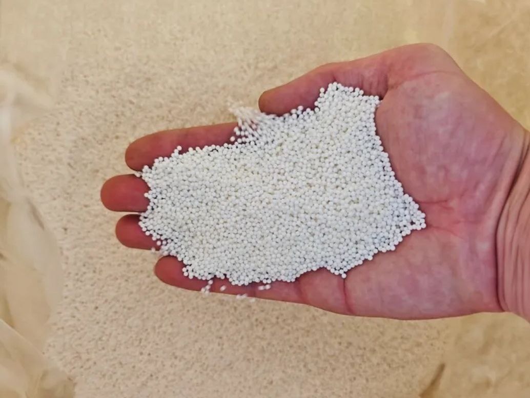 Так выглядят сухие орбизы