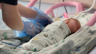    t.me/evgeniiFilippov23 Людмила Лата