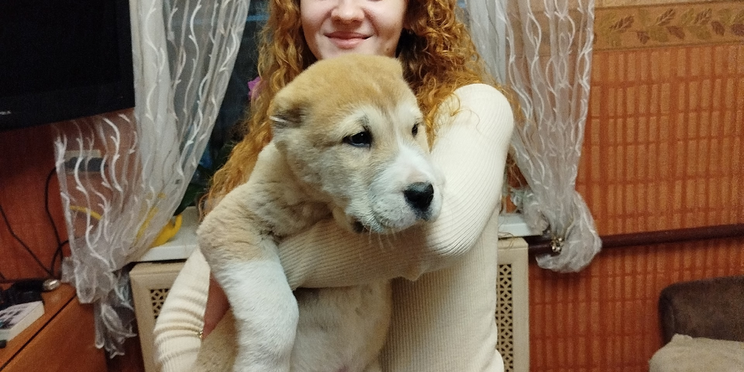 Родословная нашего Яши