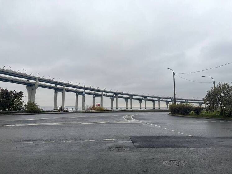     Фото: Архив МК в Питере.