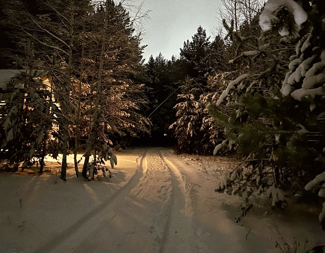 Зима у нас красивая, нарядная