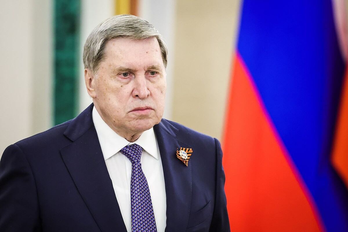     / Источник: © Global Look Press