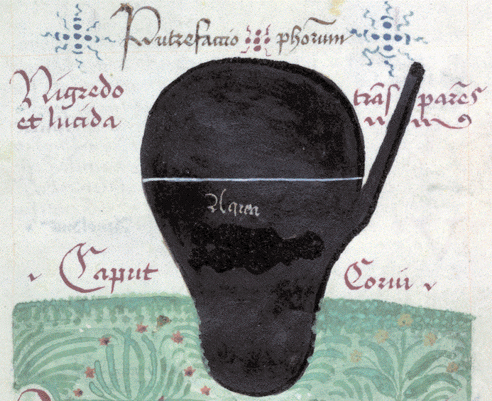 Алхимический черный
В контексте средневековой алхимии, цветовая палитра играла ключевую роль, обозначая стадии трансформации материи и неся глубокий символический смысл. Среди всего многообразия оттенков, четыре цвета выделялись особой значимостью: зеленый, красный, белый и черный. При этом черный цвет обладал двойственной природой, будучи способным как символизировать изначальную, податливую к трансмутации материю, так и олицетворять разложение или гниение.
Иллюстрация, выполненная вручную, из собрания выдержек, составленного в середине XIV века, включающего фрагменты алхимических трактатов Арно де Вильнёва и других авторов. Лондон, Британская библиотека.