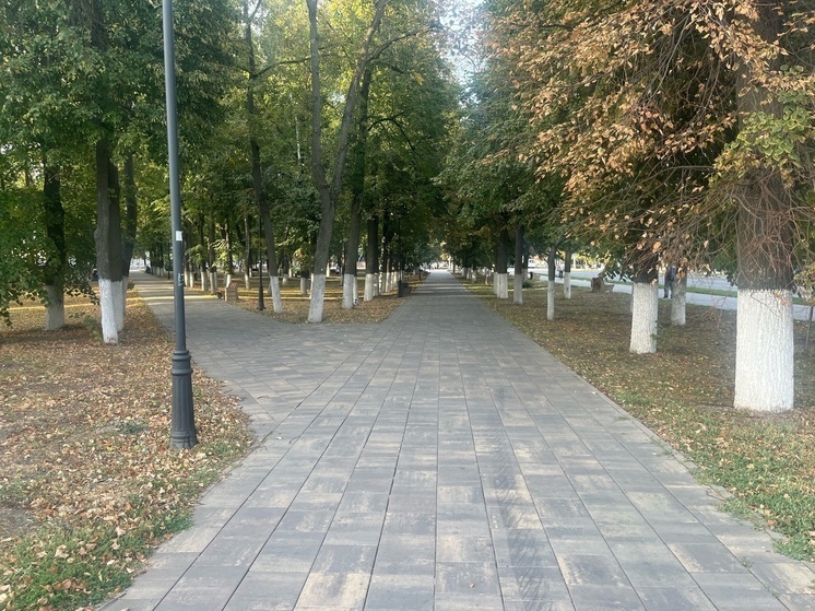     Фото: "МК Донбасс"/Марианна Образцова