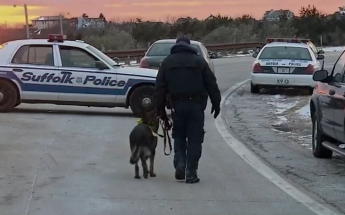 Кадр из сериала "Пропавшие девушки: Лонг-айлендский убийца"