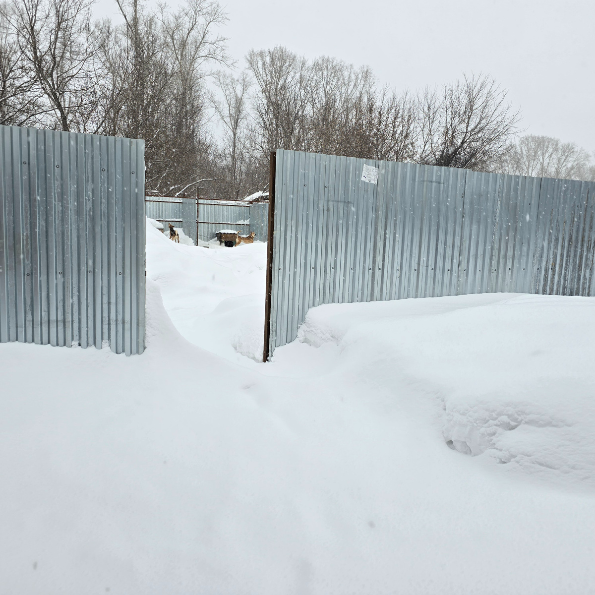 ворота засыпаны безнадежно и глухо