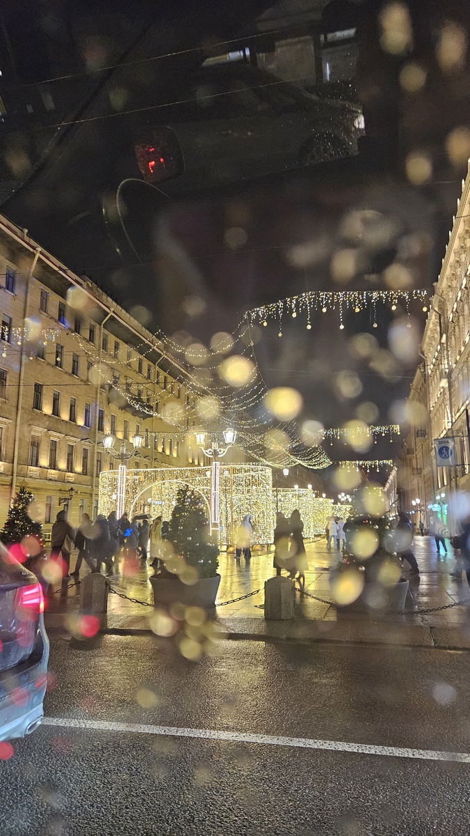 Малая Конюшенная улица (фотография автора)