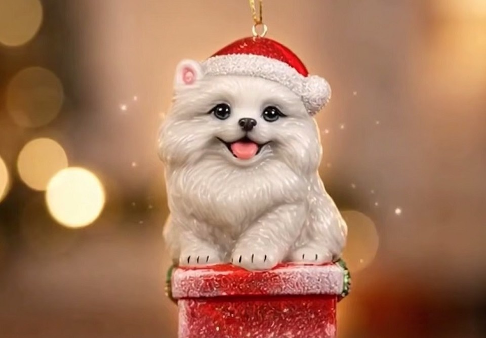    Шпиц-умка предстал в виде новогодней игрушки. Фото: стоп-кадр | видео телеграм-канал «Пул Первого».