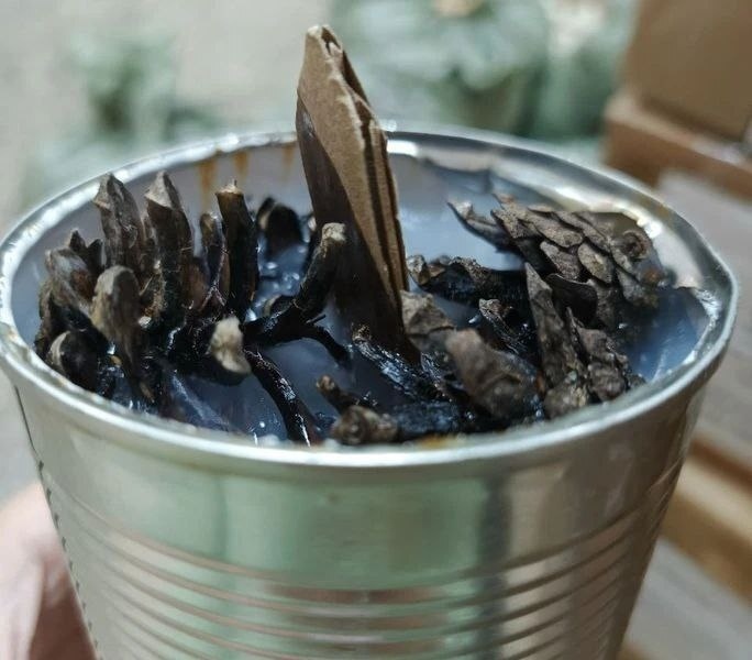 Фото: Минприроды Марий Эл