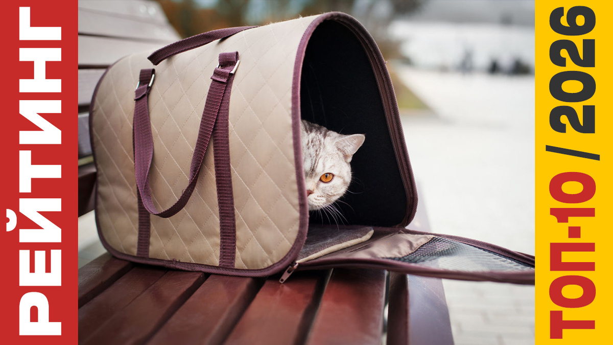 ТОП-10 Переносок для кошек 2026 года: Рейтинг лучших моделей