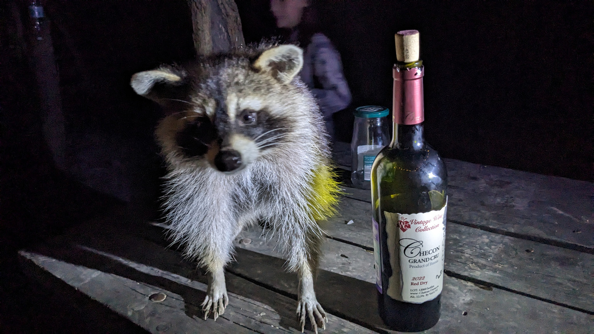 кемпинг в Абрау-Дюрсо