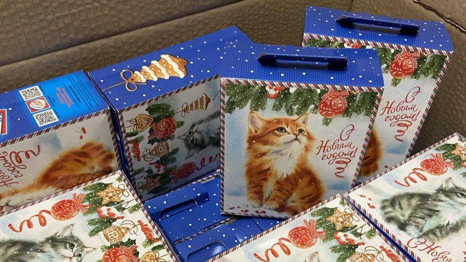 Фото: издание «Утренний Юг»