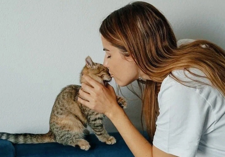 Почему в одной квартире «пахнет кошкой», а в другой — нет