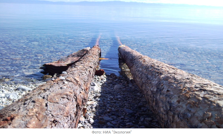 Источник новости: https://nia.eco/2025/12/15/110204/