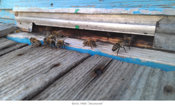 Источник новости: https://nia.eco/2025/12/16/110217/