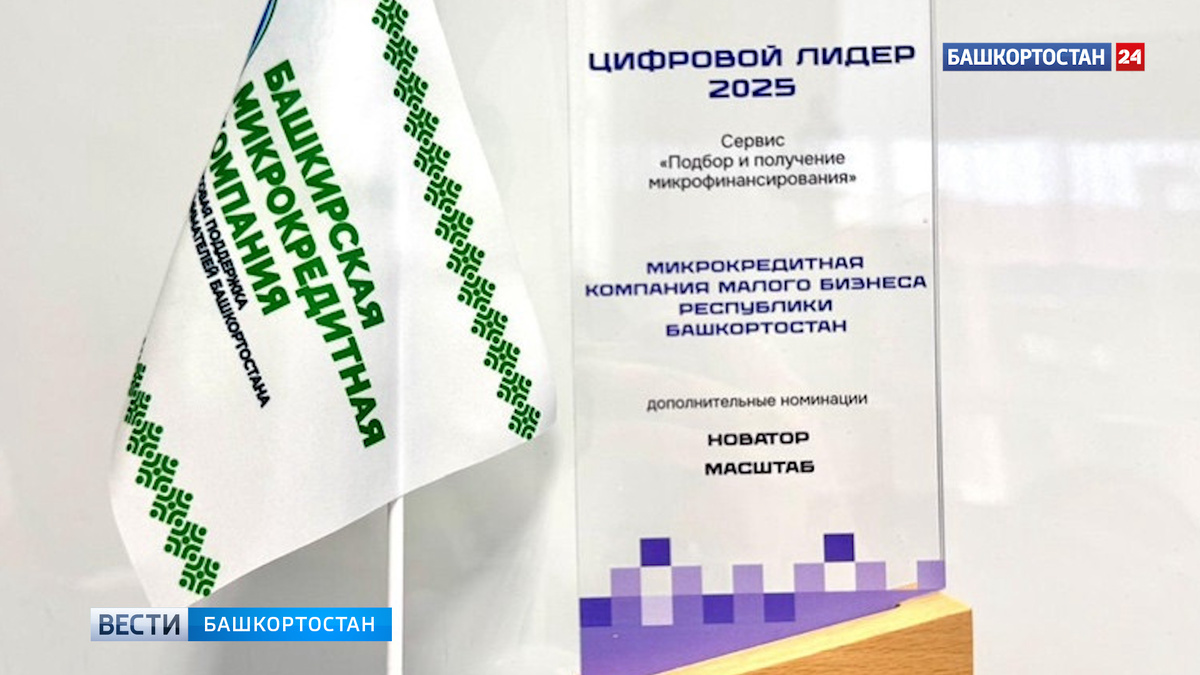    Башкортостан вошел в число лидеров по цифровой микрофинансовой поддержке