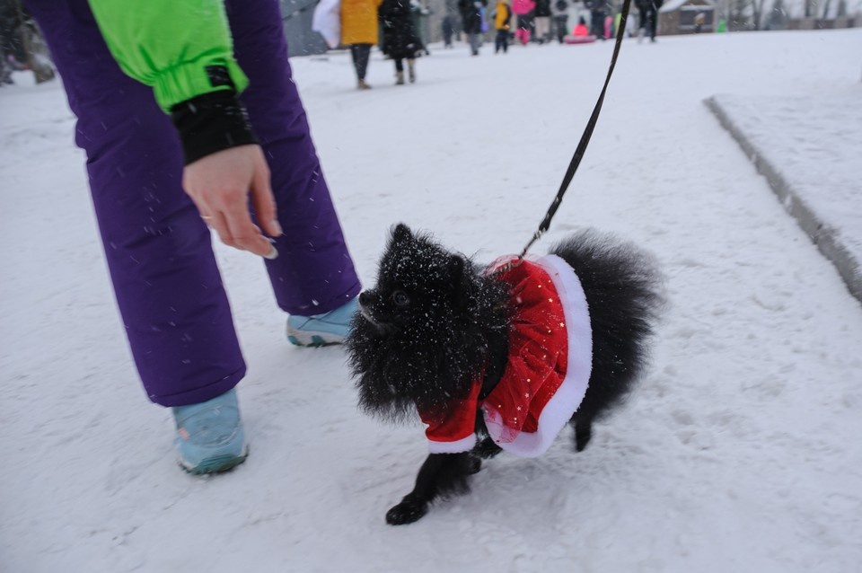   Илья САВЧУК