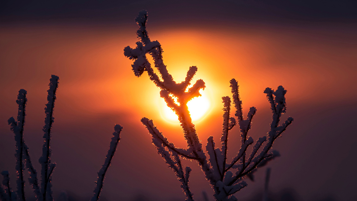     Фото: Maximillian cabinet/Shutterstock/FOTODOM Существует простое правило: в год, предшествующий високосному, солнцестояние выпадает на 22 декабря, а во все остальные годы — на 21 декабря