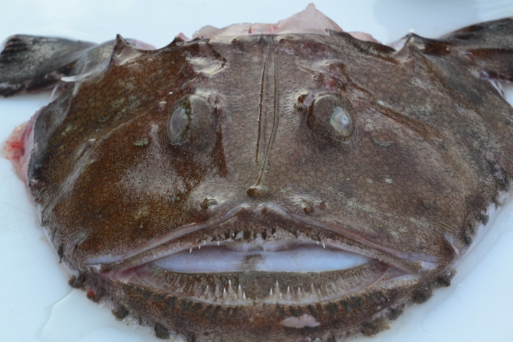 Привет, друг, есть 50 рублей? Трубы горят.