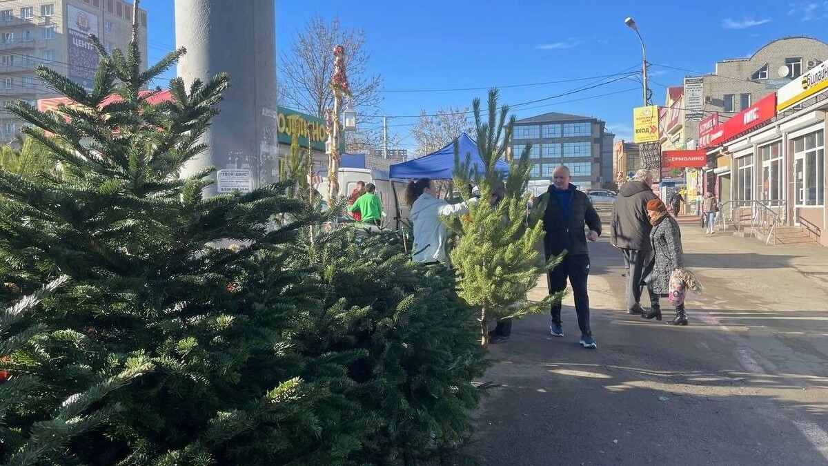     Источник: rostovgazeta.ru