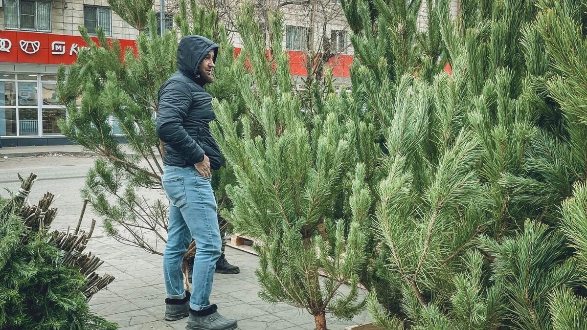     Источник: 1MI