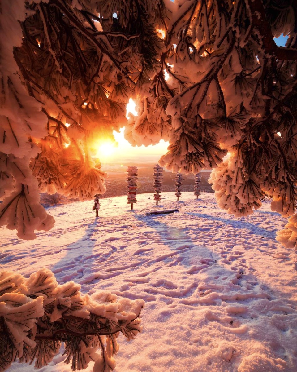 На фото: зимний рассвет на вершине горы Машук. Однажды утром в Пятигорске ❤️