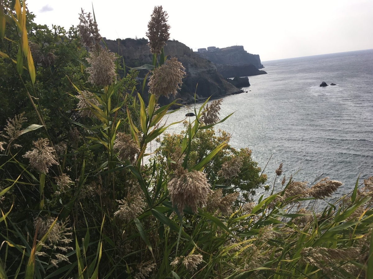 Фото из просторов интернета.