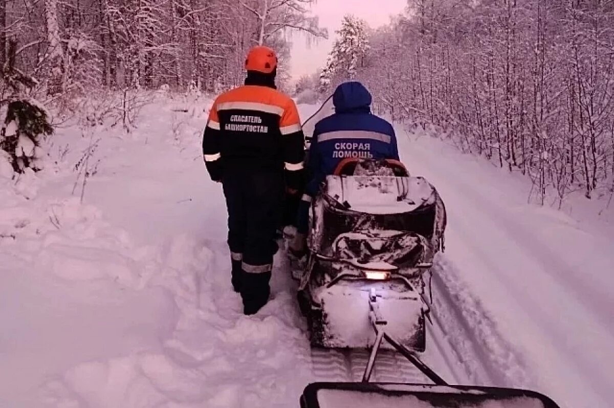    Спасатели доставили врача скорой к больному на снегоходе в Башкирии
