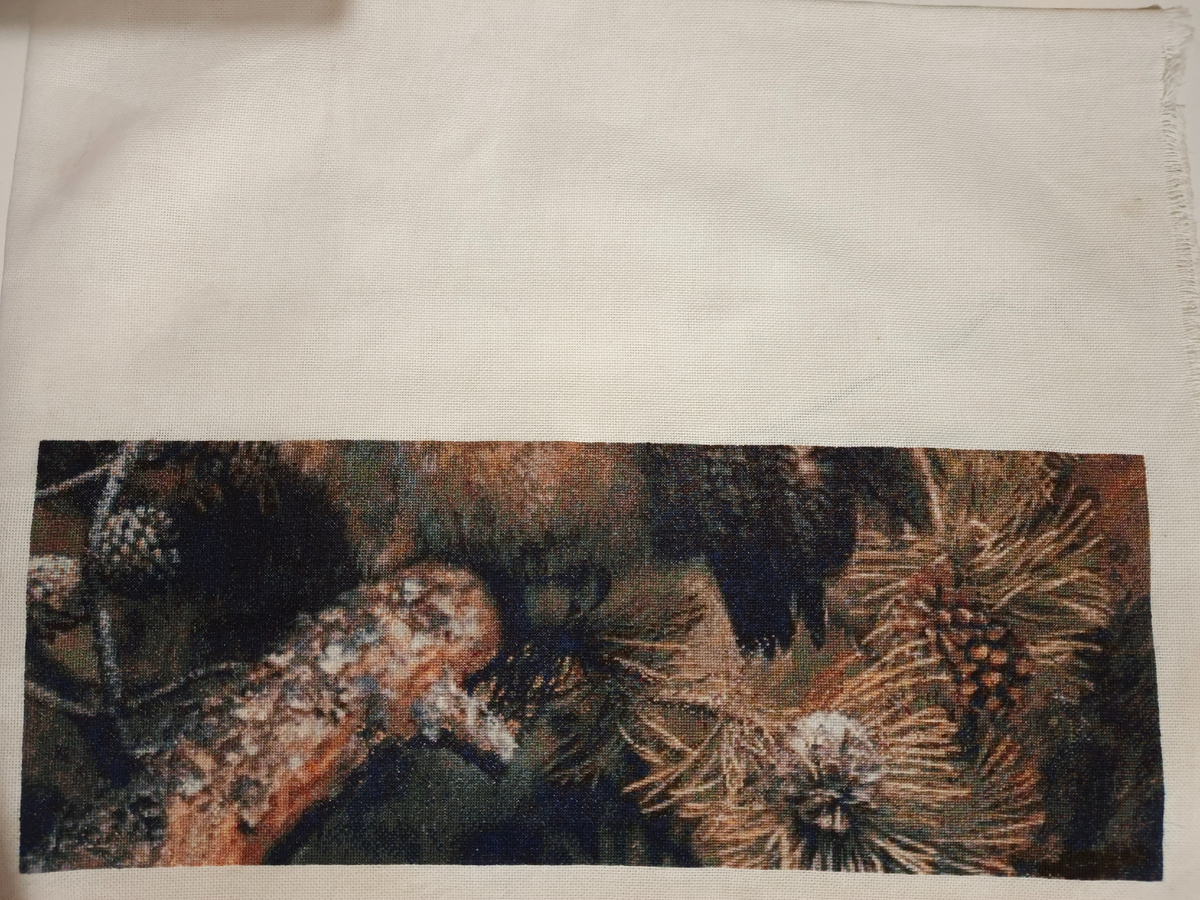 Фото и работа автора