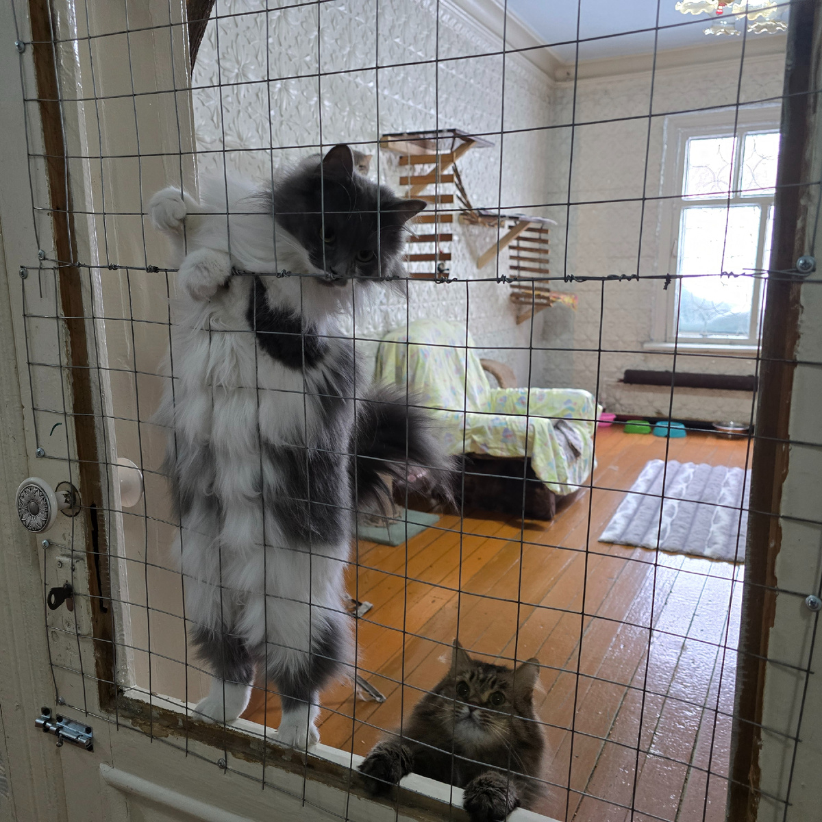 Продолжение урока вертикального покорения пространства