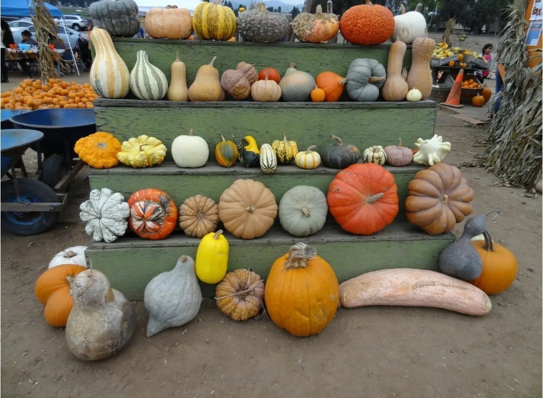 Фото открытых источников