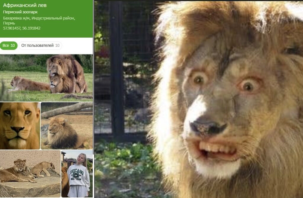    Скрин сервиса 2gis Ольга Гилёва