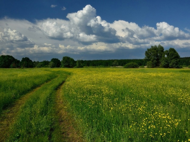 Сейчас бы в поле поваляться, а не вот это вот все….