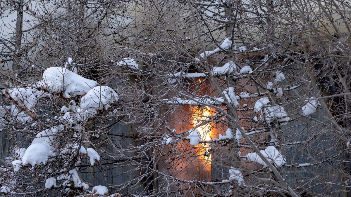    Фото: Сергей Зубков / «Ямал-Медиа»