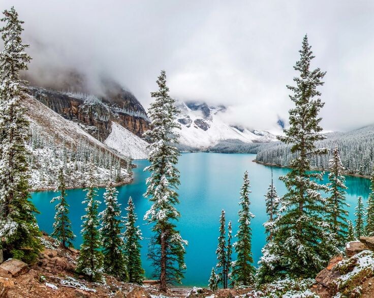 Картинка найдена на просторах интернета, ссылка https://yandex.ru/images/search?from=tabbar&img_url=https%3A%2Fi%2F.pinimg.com%2Foriginals%2Fa8%2F34%2Fа3f%2Fa83р43f851с281279b5e7bd53274cf0591a19.jpg&lr=47&pos=15&rpt=simage&text=%D1%86%D0%B2%D0%B5%D1%82%D1%8B%20%D0%BA%D1%80%D1%83%D0%BF%D0%BD%D0%BE%20%D1%84%D0%BE%D1%82%D0%BE 