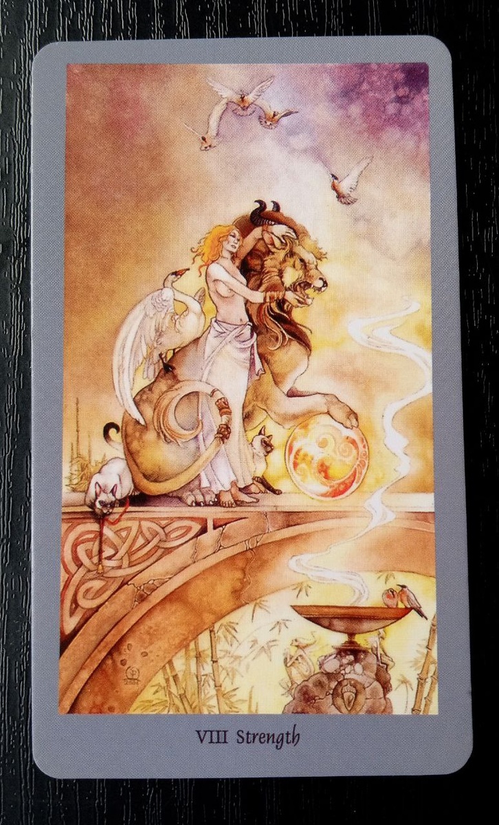 Карта дня из колоды "Таро долины миражей"