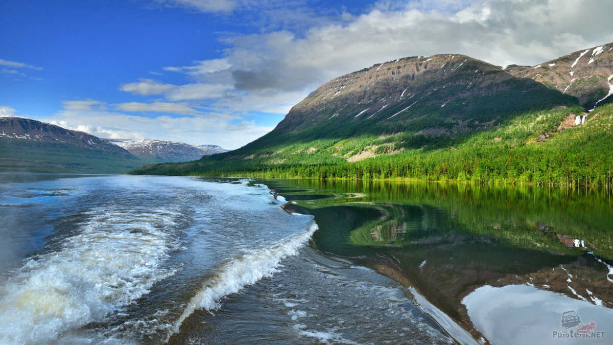 (источник: puzoterok.net)