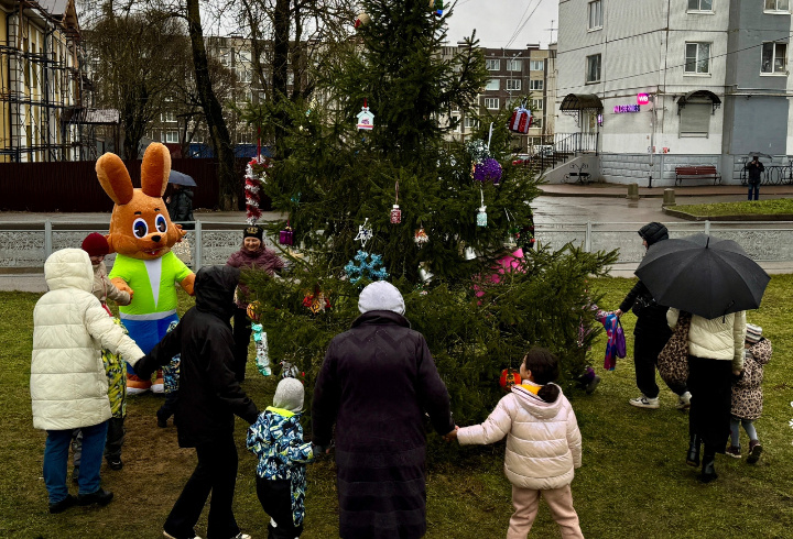 фото: Администрация Тосненского района