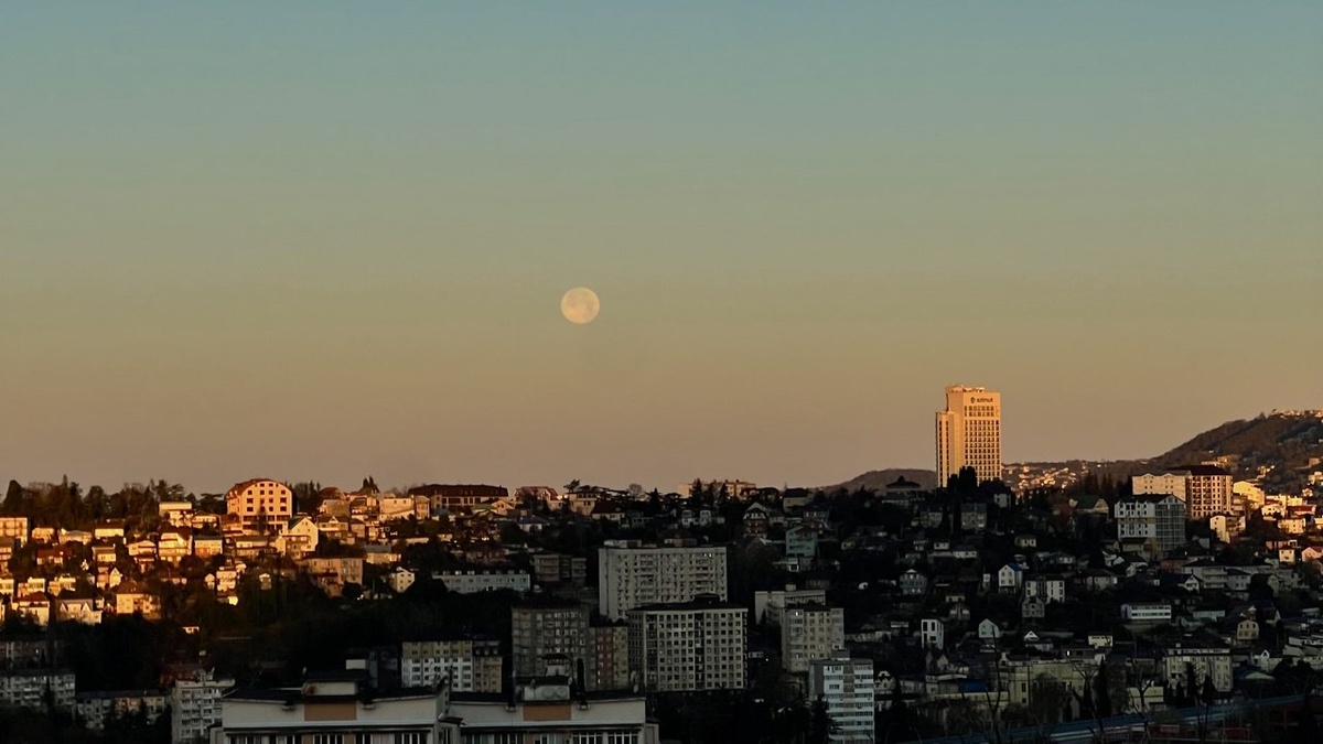    Анна Сальникова