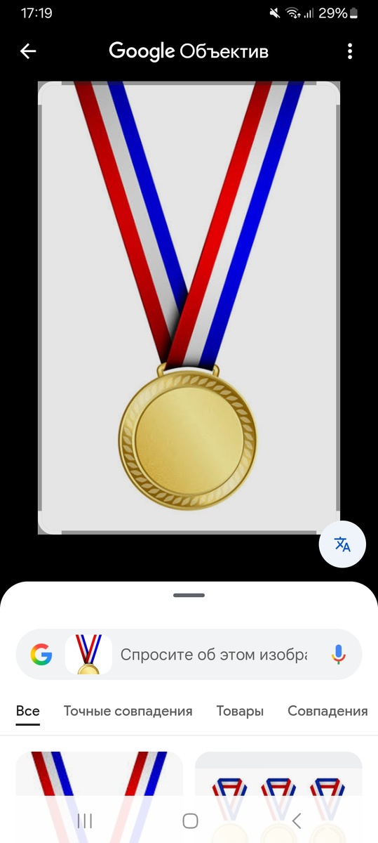 Медаль ветерана Паренфайтского комитета