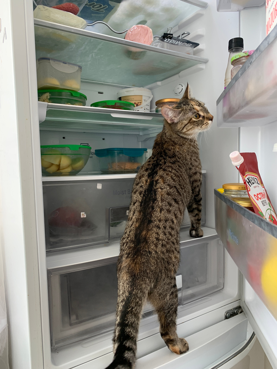 "Вот почему вы его так часто открываете!"