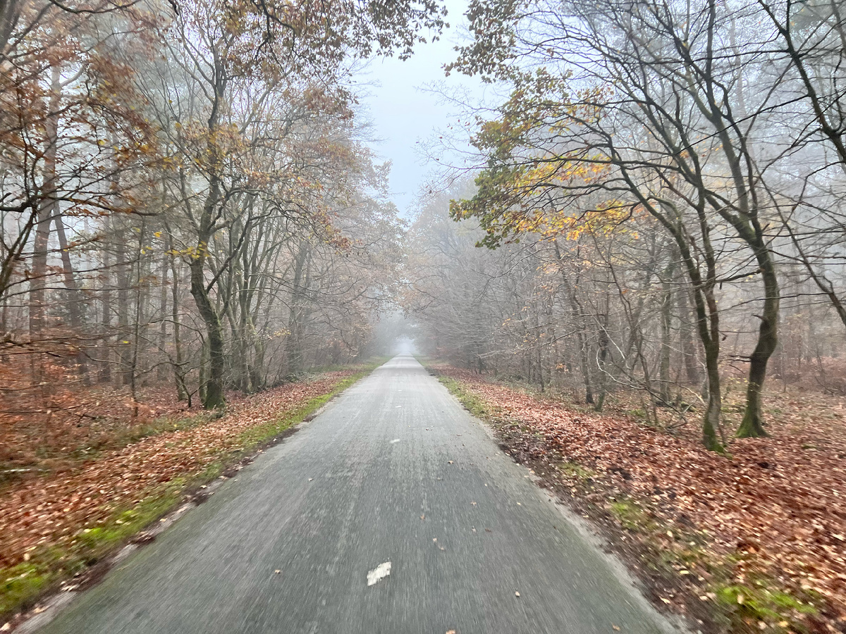 Франция. Камера: iPhone 13 Pro. Фото: М. Рябинин